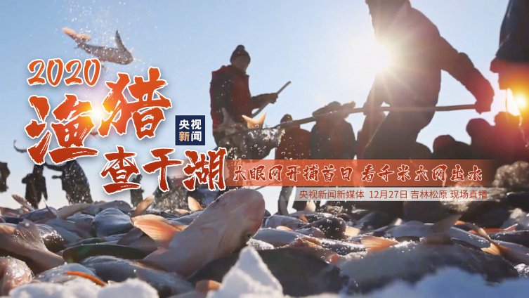 【冬捕进行时!直击查干湖千米捕鱼大网出水现场 】每年12月中下旬至春节前夕,是吉林松原查干